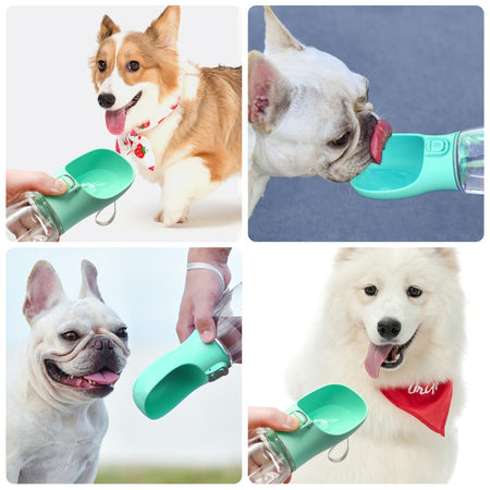 BOTTLE&BOWL™ | WATER BOTTLE FOR DOG